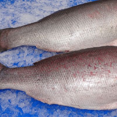 -HG-NILE-PERCH-HEADLESS-GUTTED